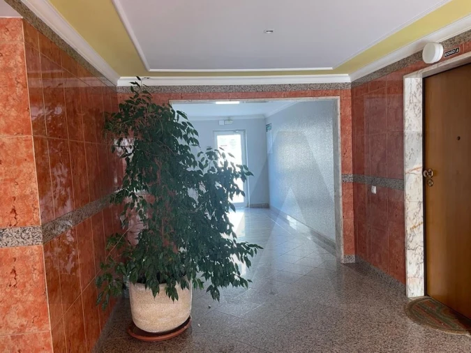 Apartamento T1 para Arrendamento em Armação de Pera Foto 4