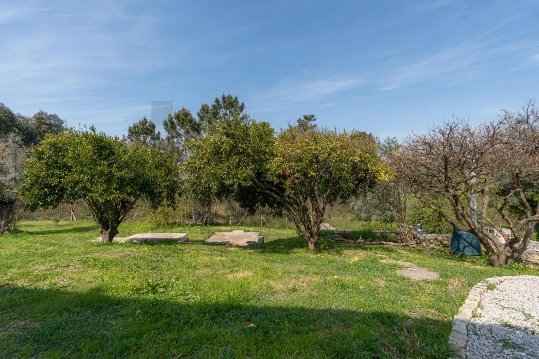 Moradia T3 para Venda em Poiares (Santo Andre) Foto 37