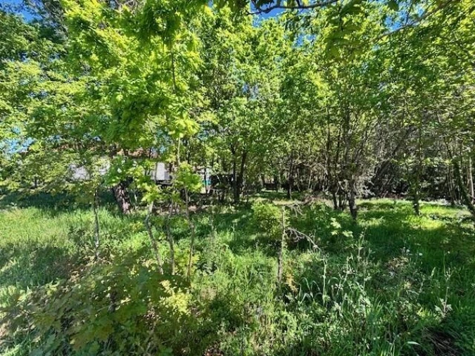 Terreno para Venda em Valongo do Vouga Foto 4