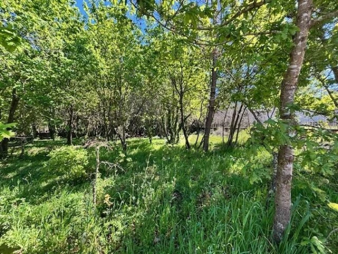 Terreno para Venda em Valongo do Vouga Foto 5