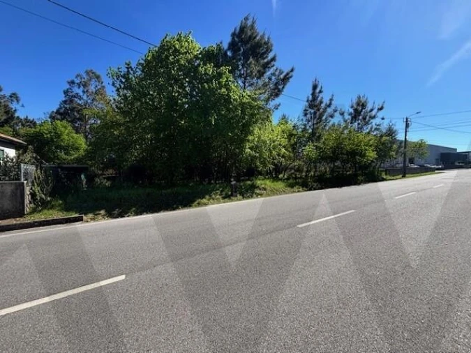 Terreno para Venda em Valongo do Vouga Foto 10