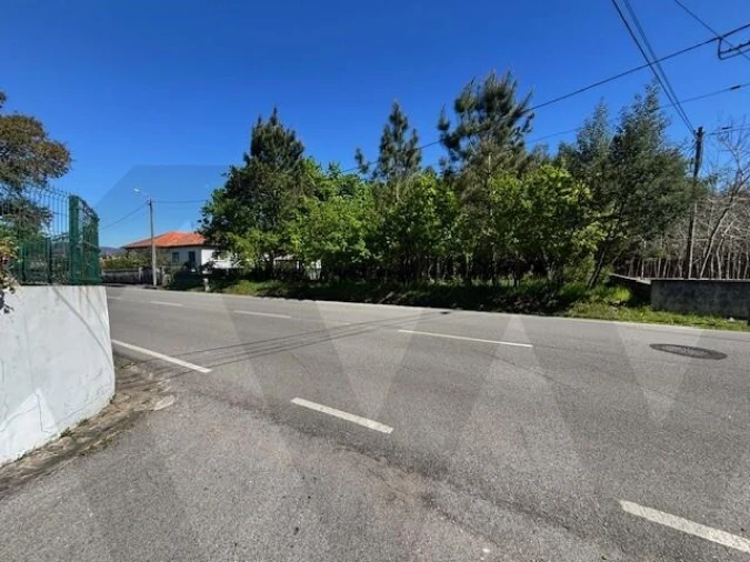 Terreno para Venda em Valongo do Vouga Foto 12