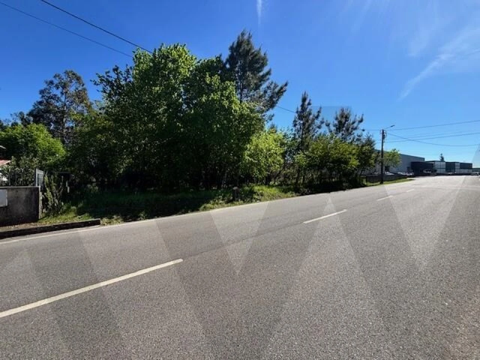 Terreno para Venda em Valongo do Vouga Foto 6
