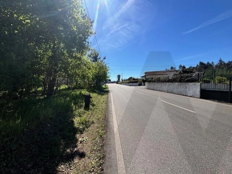 Terreno para Venda em Valongo do Vouga Foto 1