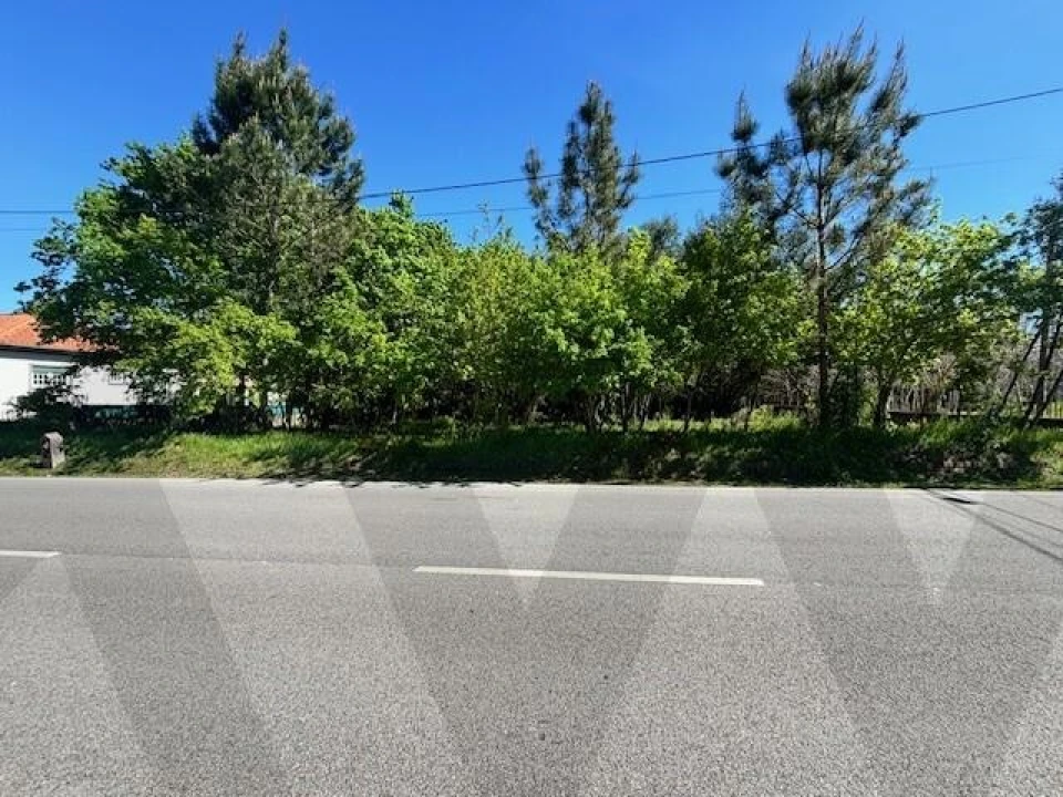 Terreno para Venda em Valongo do Vouga Foto 8