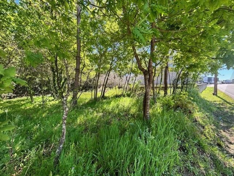 Terreno para Venda em Valongo do Vouga Foto 3