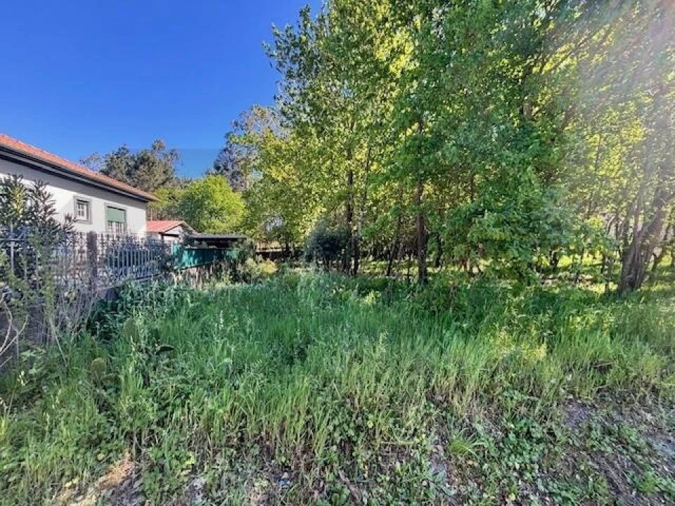 Terreno para Venda em Valongo do Vouga Foto 2