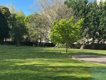 Apartamento T2 para Arrendamento em Lordelo do Ouro e Massarelos
