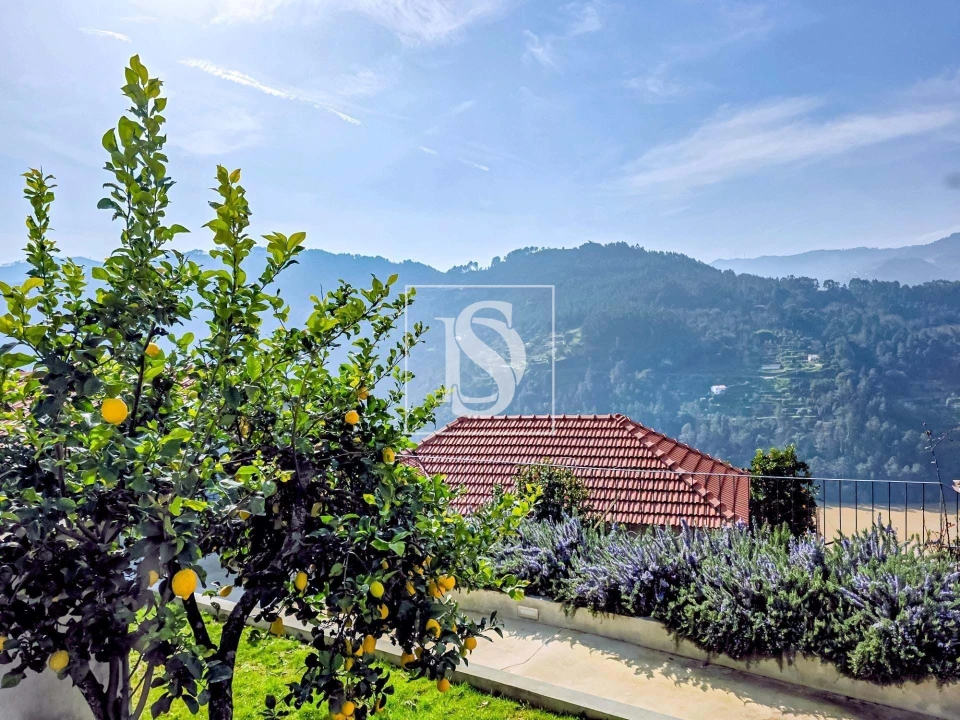 Moradia T3 para Venda em Ancede e Ribadouro Foto 38