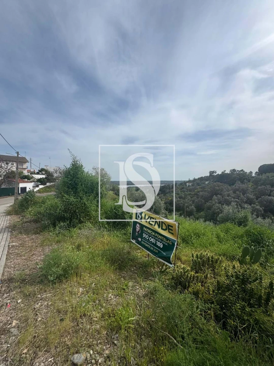 Terreno para Venda em Montargil Foto 9