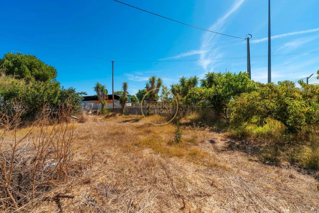 Terreno para Arrendamento em Montenegro Foto 34