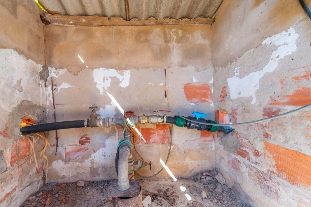 Terreno para Arrendamento em Montenegro Foto 25