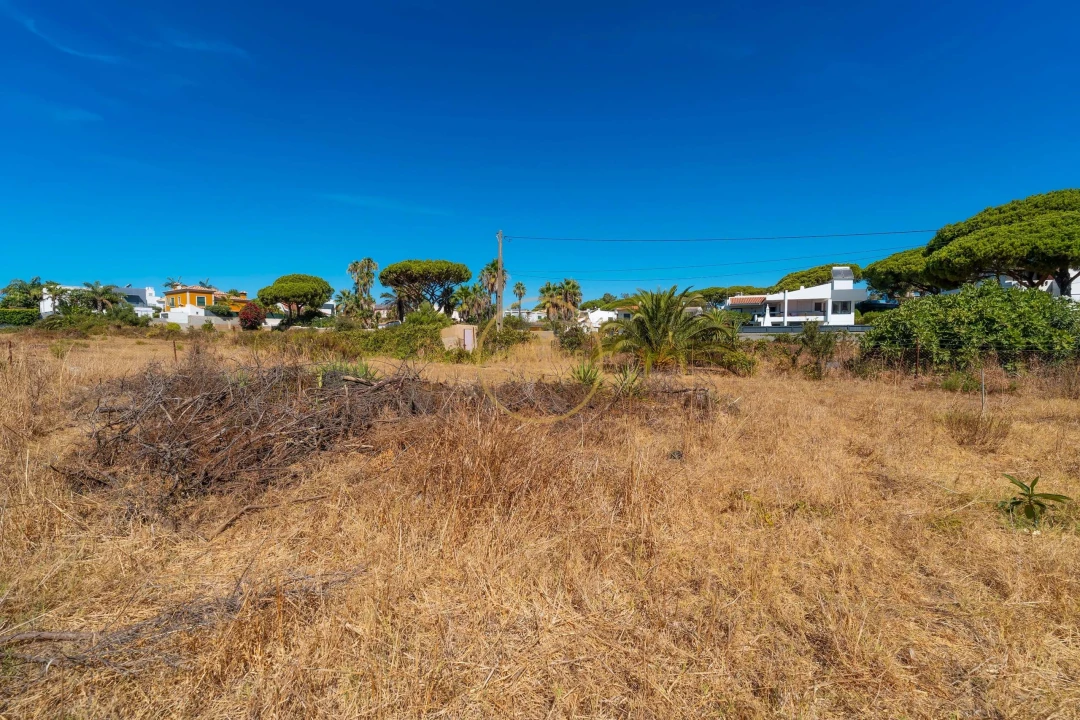 Terreno para Arrendamento em Montenegro Foto 18