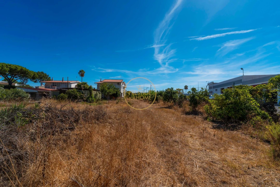 Terreno para Arrendamento em Montenegro Foto 19