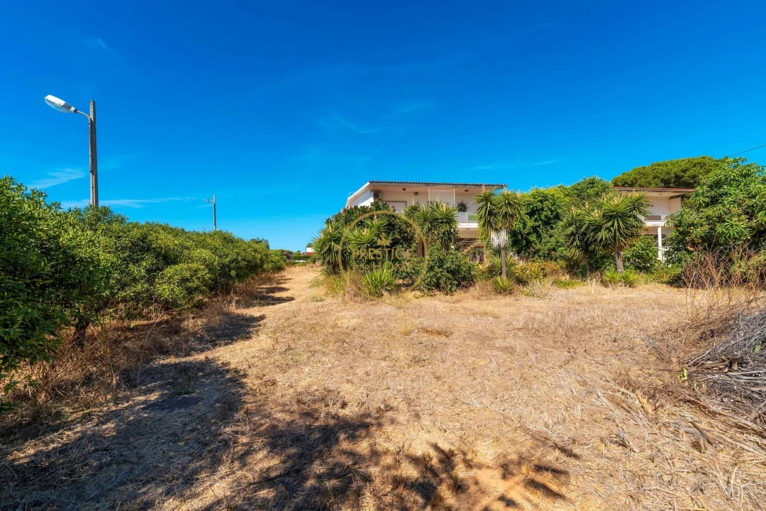 Terreno para Arrendamento em Montenegro Foto 15