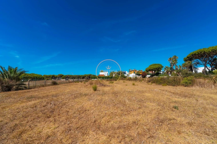 Terreno para Arrendamento em Montenegro Foto 29