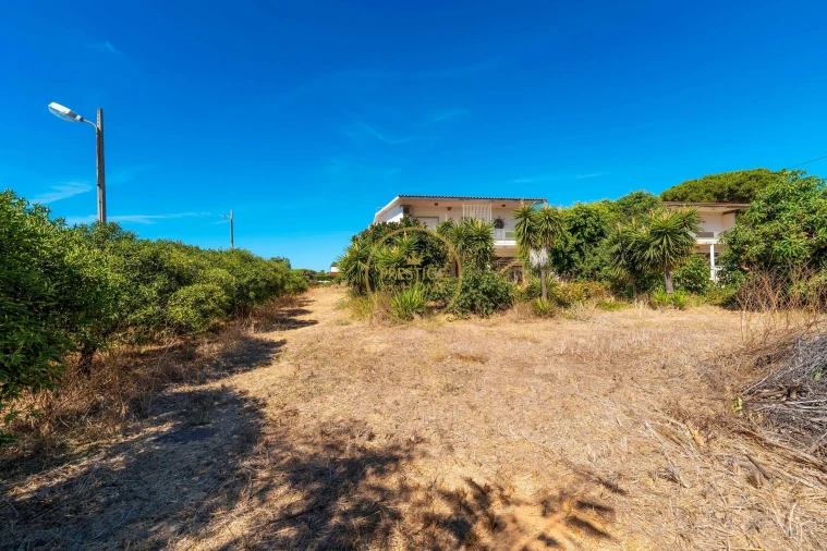 Terreno para Arrendamento em Montenegro Foto 15