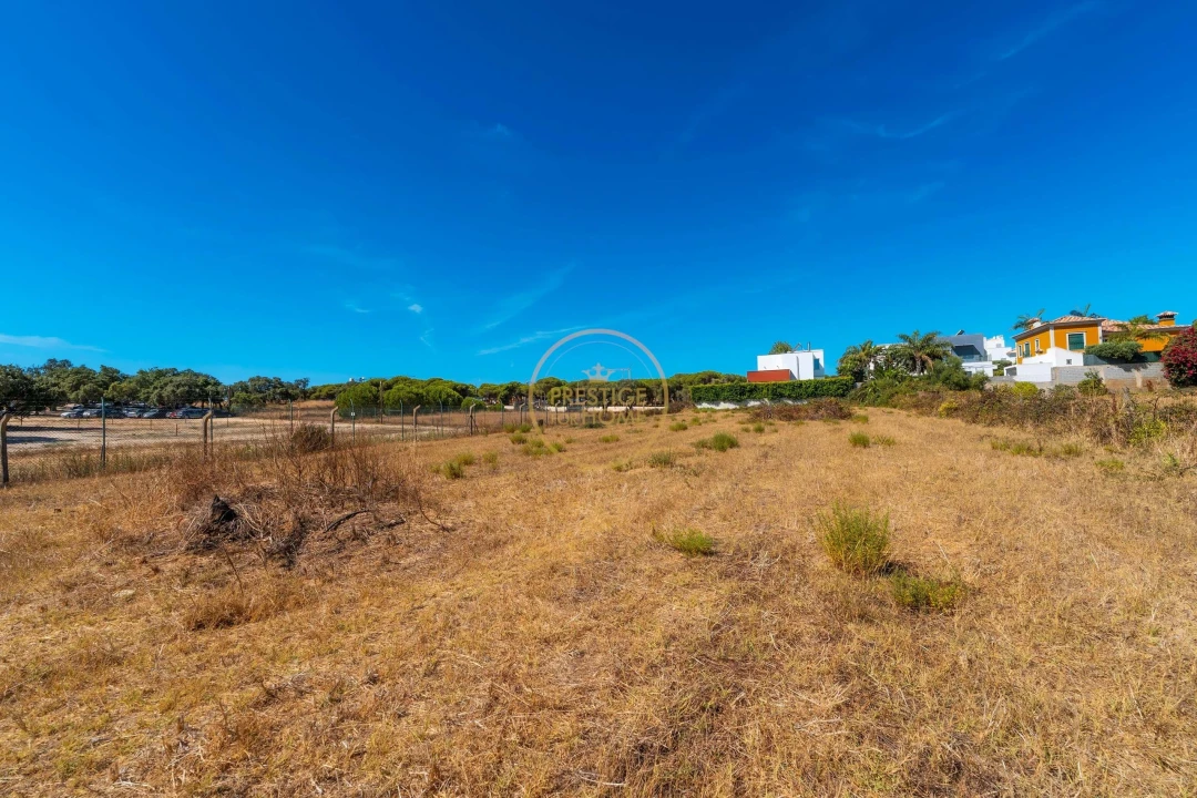 Terreno para Arrendamento em Montenegro Foto 31