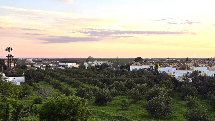 Moradia T4 para Venda em Tavira (Santa Maria e Santiago) Foto 3