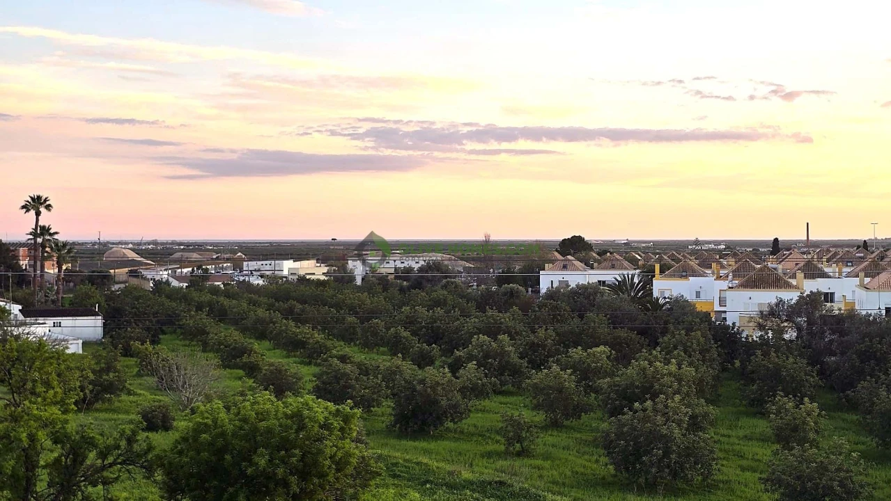 Moradia T4 para Venda em Tavira (Santa Maria e Santiago) Foto 3