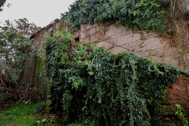 Moradia T3 para Venda em Canas de Senhorim Foto 6