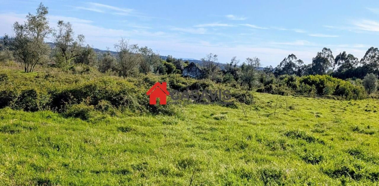 Quinta para Venda em Alcafache Foto 1