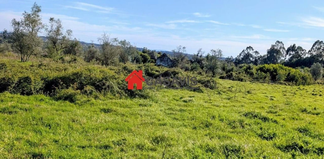 Quinta para Venda em Alcafache Foto 1