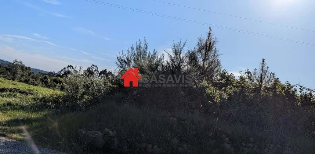 Quinta para Venda em Alcafache Foto 2