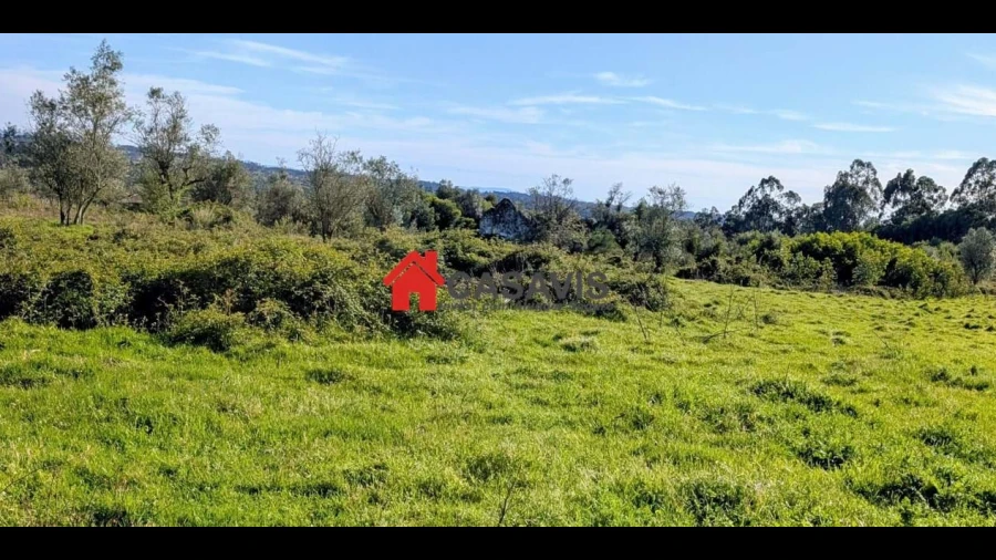 Quinta para Venda em Alcafache