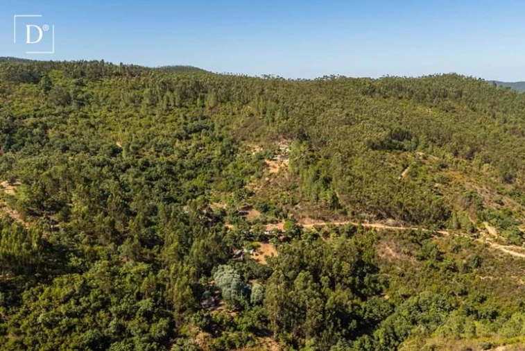 Moradia T3 para Venda em Monchique Foto 34