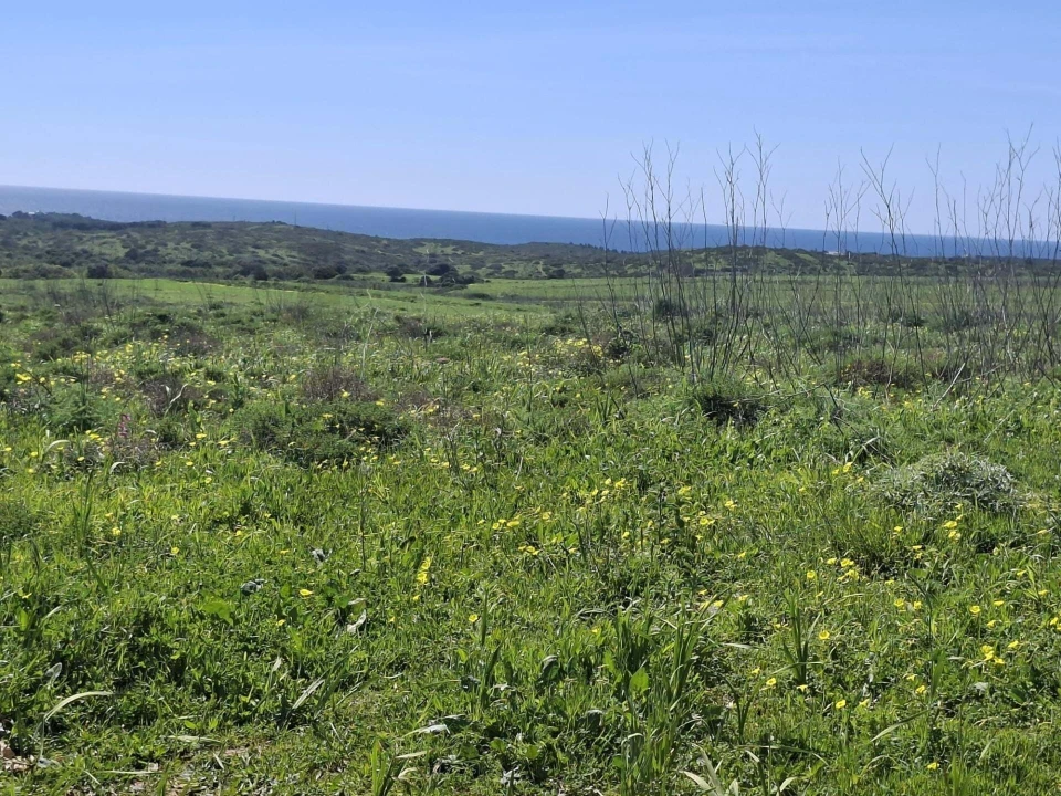 Terreno para Venda em Vila do Bispo e Raposeira Foto 1