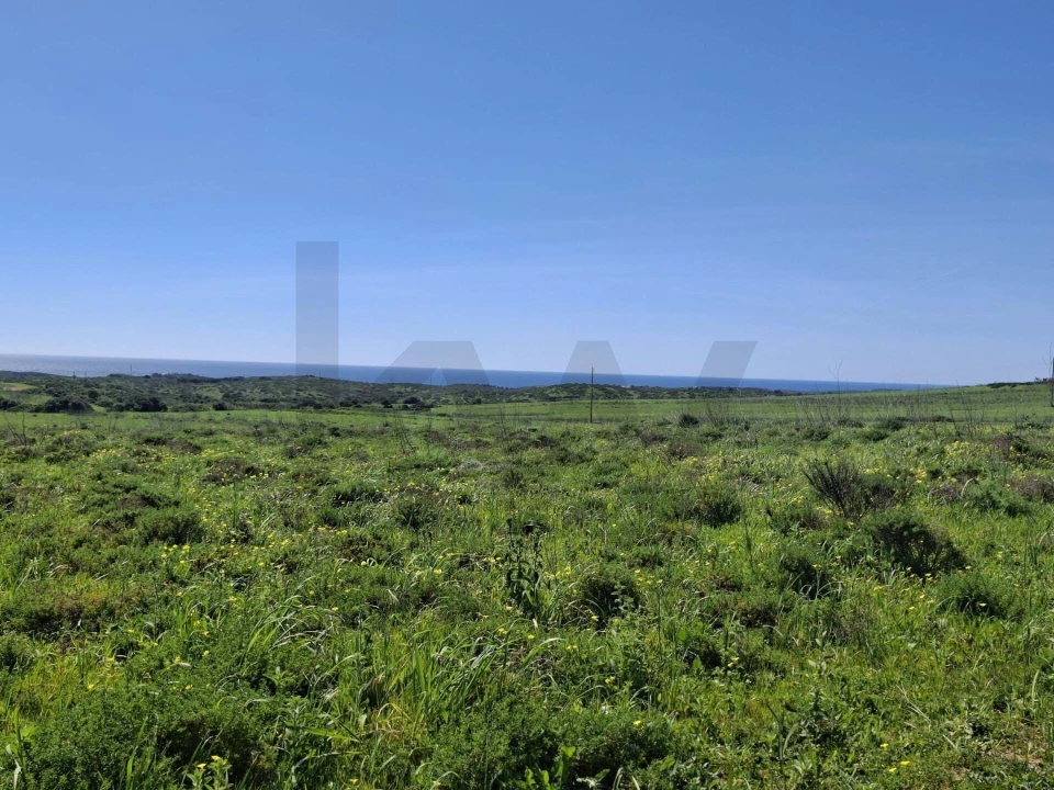 Terreno para Venda em Vila do Bispo e Raposeira Foto 14