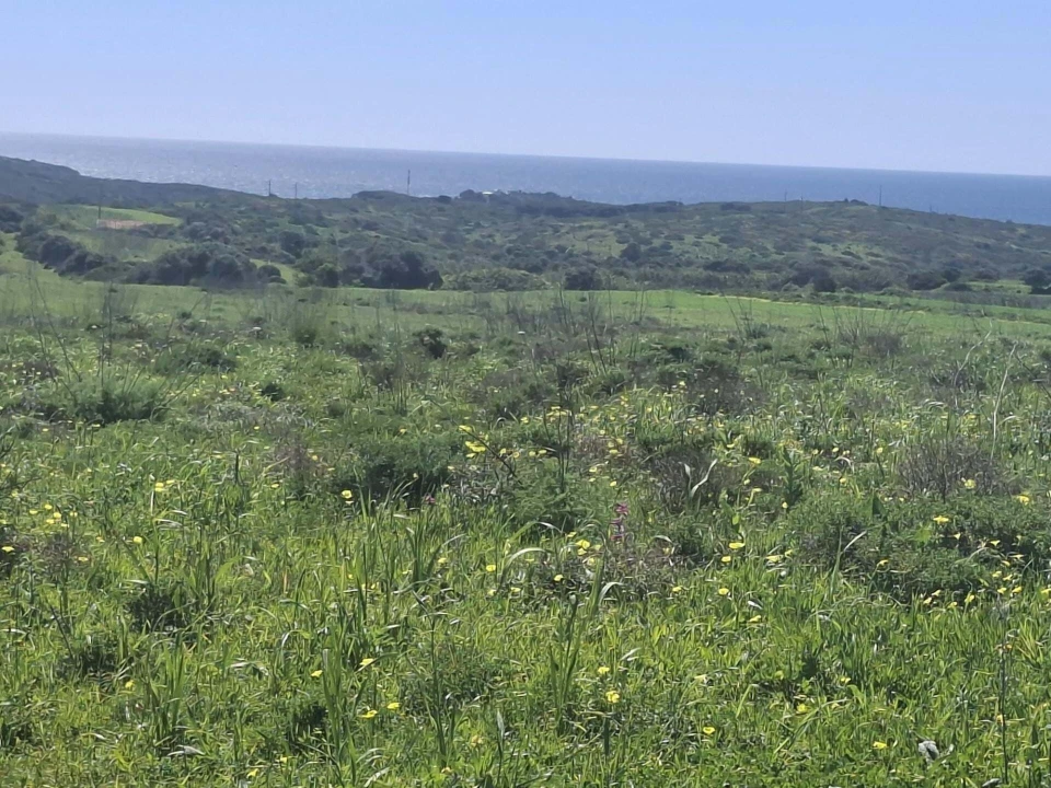 Terreno para Venda em Vila do Bispo e Raposeira Foto 5