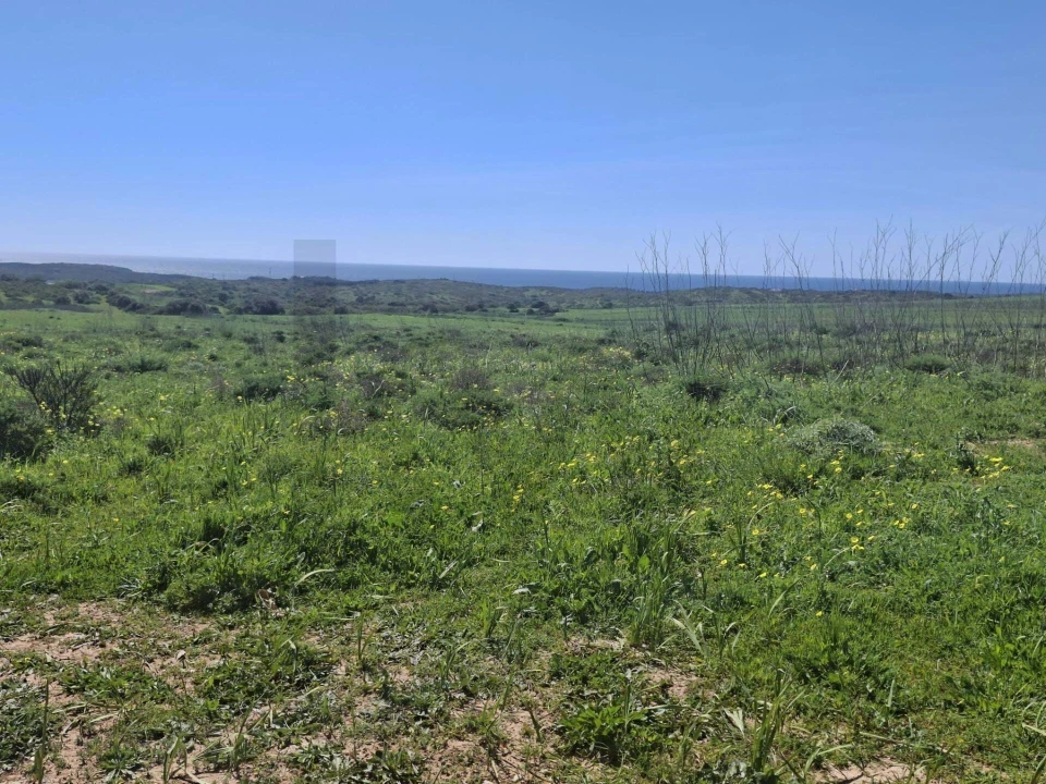 Terreno para Venda em Vila do Bispo e Raposeira Foto 2
