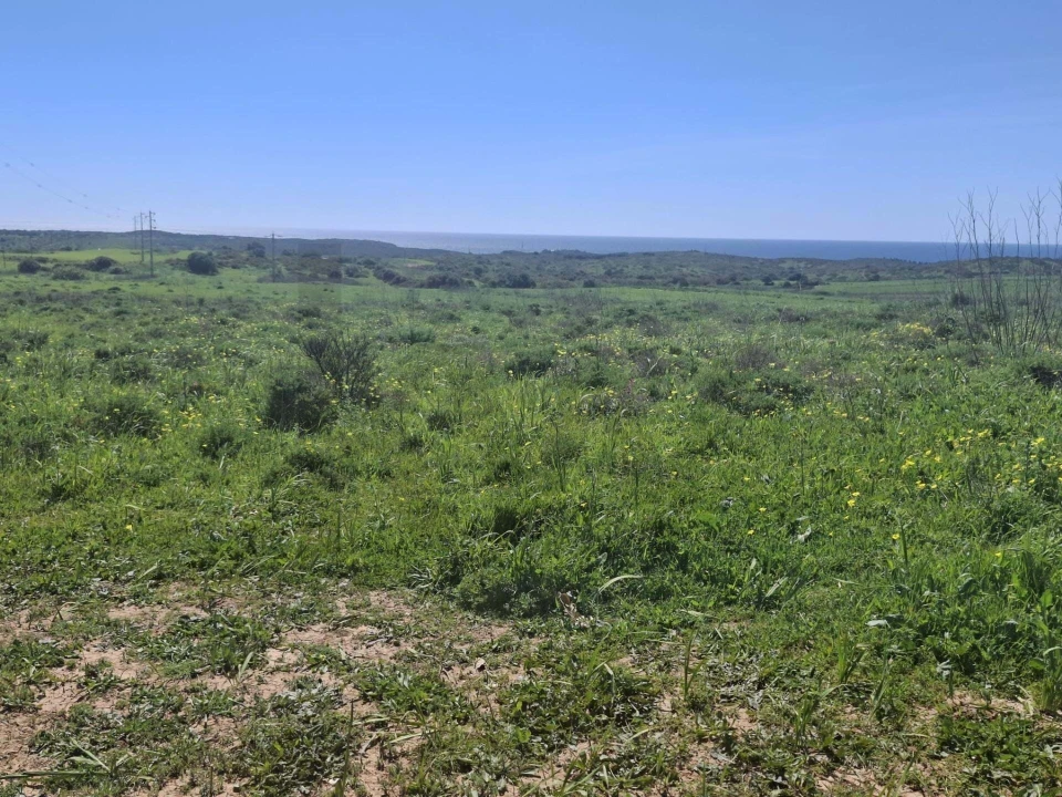 Terreno para Venda em Vila do Bispo e Raposeira Foto 6