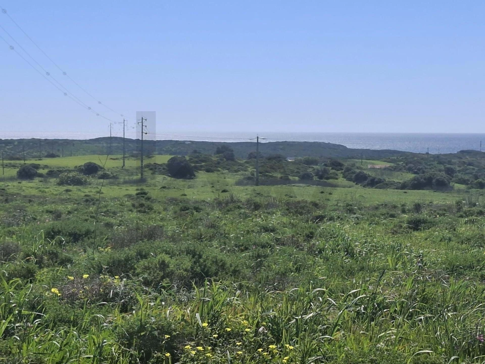 Terreno para Venda em Vila do Bispo e Raposeira Foto 11