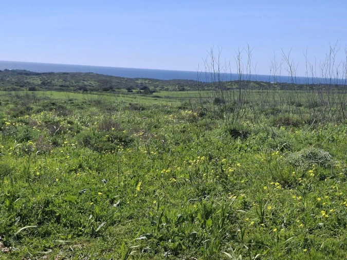 Terreno para Venda em Vila do Bispo e Raposeira