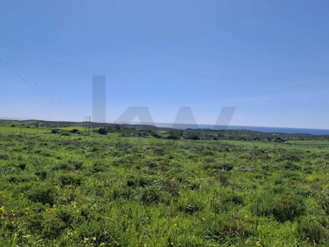 Terreno para Venda em Vila do Bispo e Raposeira Foto 13