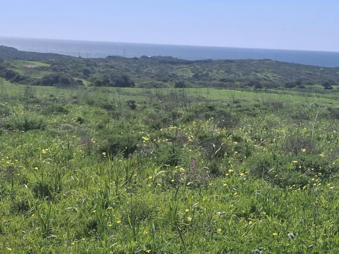 Terreno para Venda em Vila do Bispo e Raposeira Foto 4