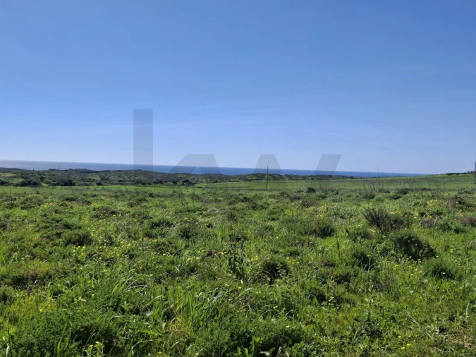Terreno para Venda em Vila do Bispo e Raposeira Foto 15