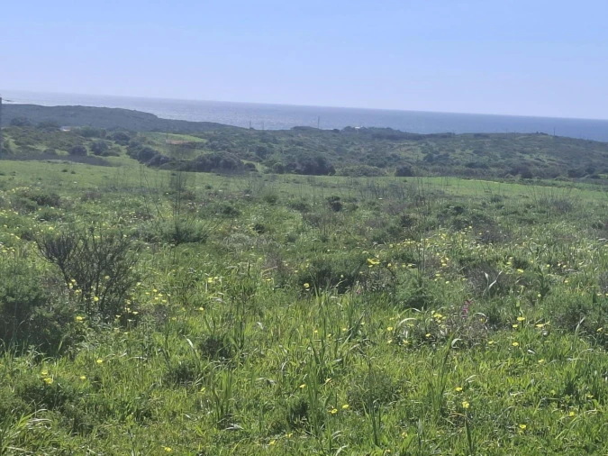 Terreno para Venda em Vila do Bispo e Raposeira Foto 7