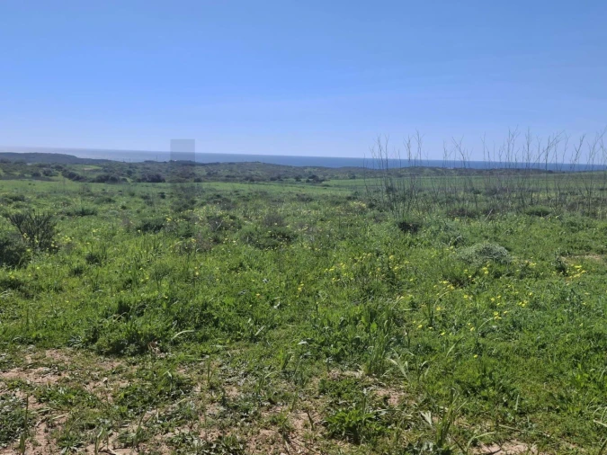 Terreno para Venda em Vila do Bispo e Raposeira Foto 2