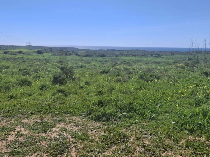 Terreno para Venda em Vila do Bispo e Raposeira Foto 6