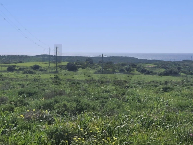 Terreno para Venda em Vila do Bispo e Raposeira Foto 11