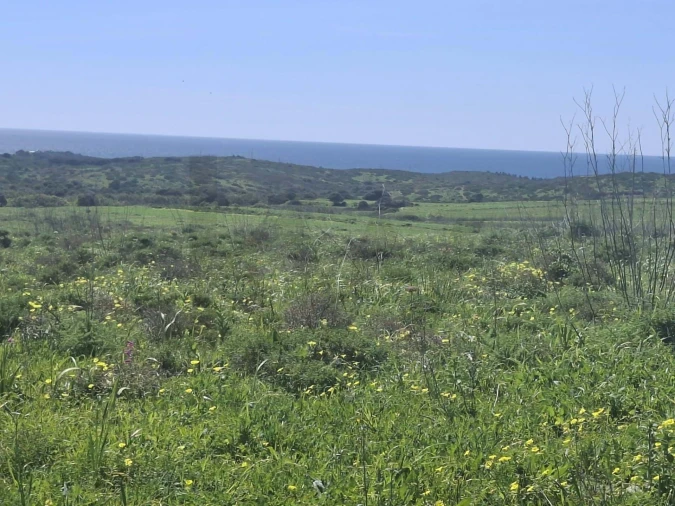 Terreno para Venda em Vila do Bispo e Raposeira Foto 8