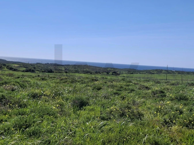 Terreno para Venda em Vila do Bispo e Raposeira Foto 17