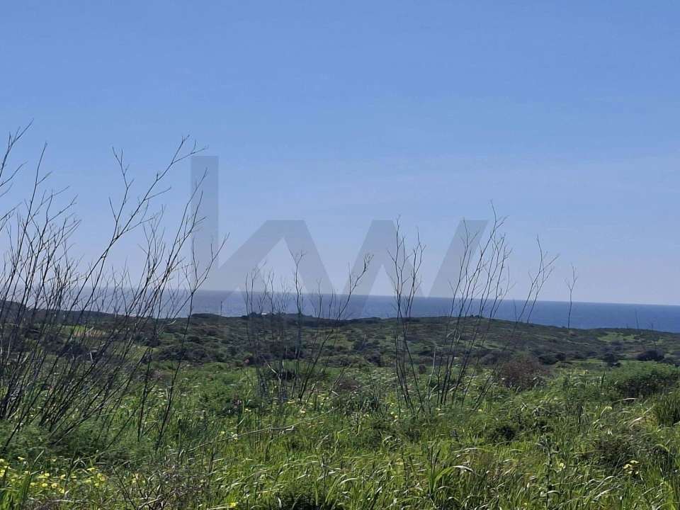 Terreno para Venda em Vila do Bispo e Raposeira Foto 19