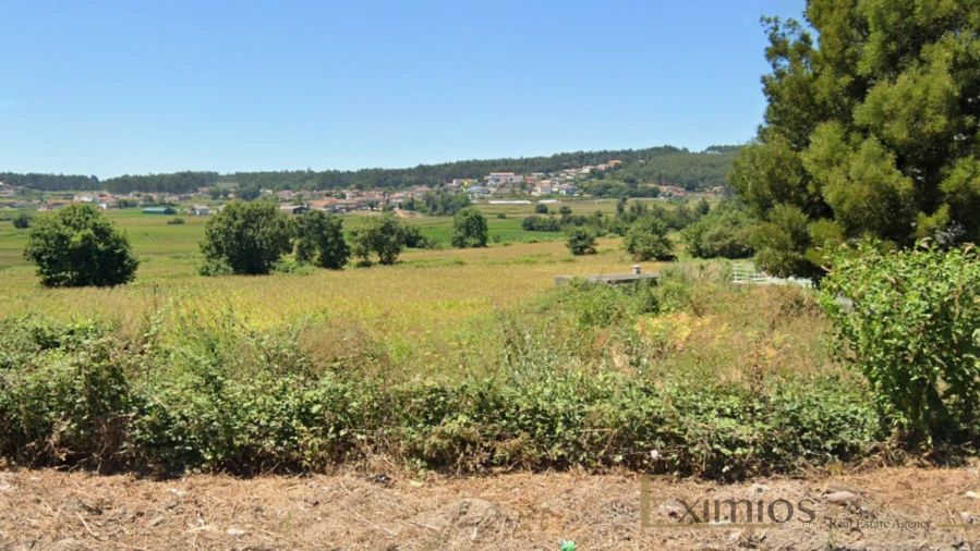 Terreno para Venda em Coronado (São Romão e São Mamede) Foto 3
