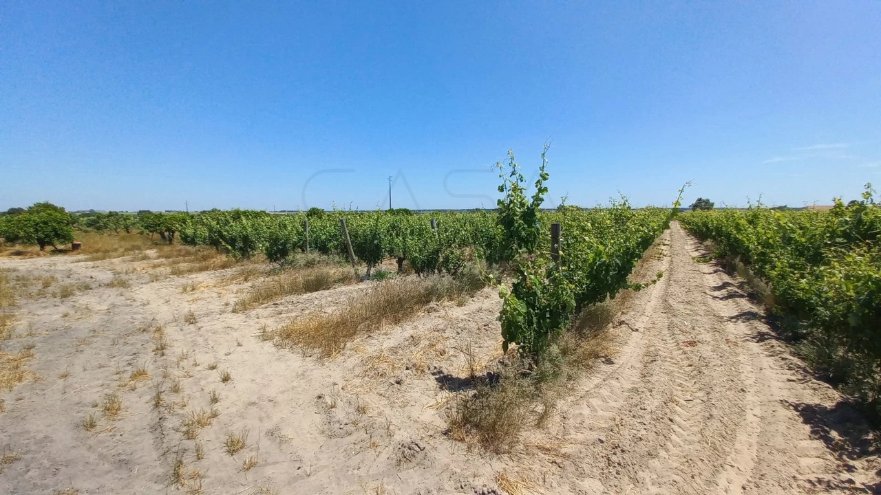 Moradia T3 para Venda em Poceirão e Marateca Foto 4