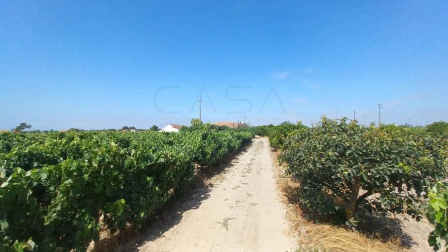 Moradia T3 para Venda em Poceirão e Marateca Foto 12